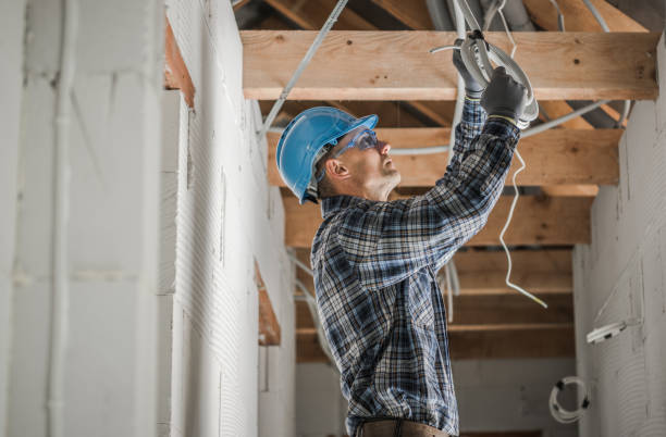 Best Outdoor Lighting Installation  in Woodridge, IL